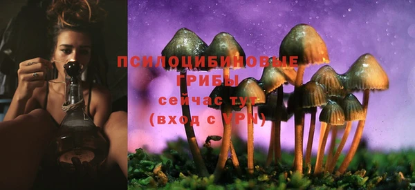 наркотики Бородино
