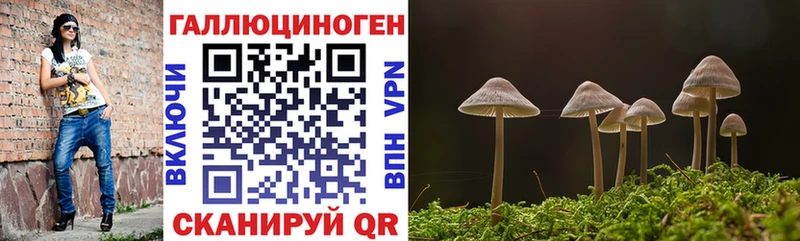 мега ONION  Пересвет  Галлюциногенные грибы MAGIC MUSHROOMS 